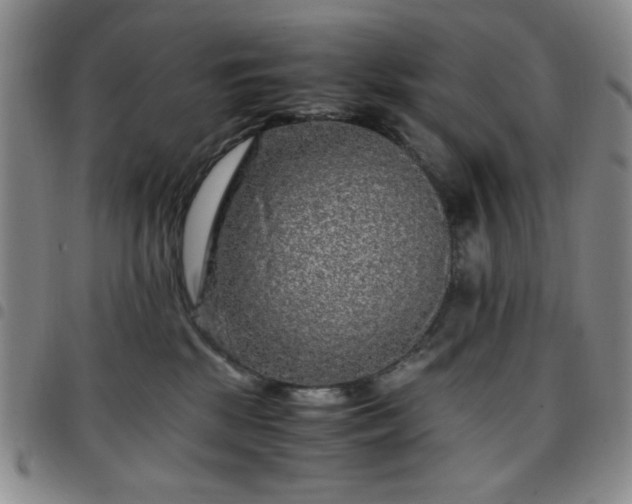 X0000097760281200803141729