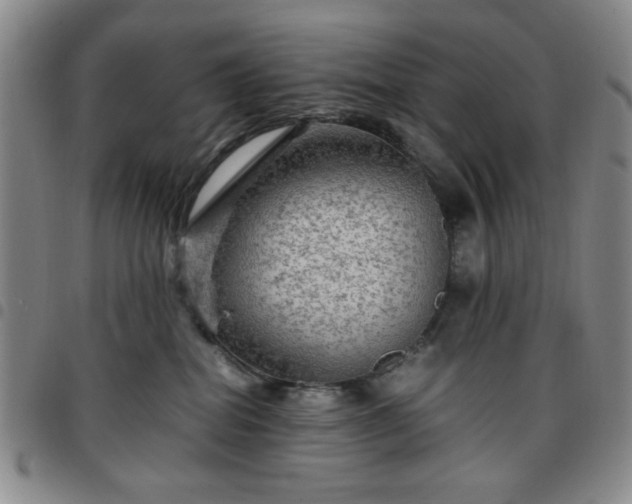 X0000097760282200803141729