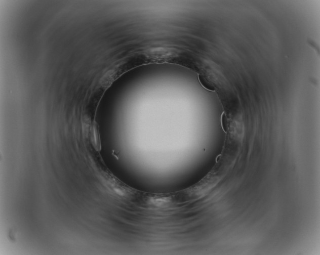 X0000097760283200803141729