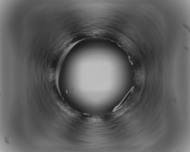 X0000097760284200803141729