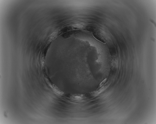 X0000097760285200803141729