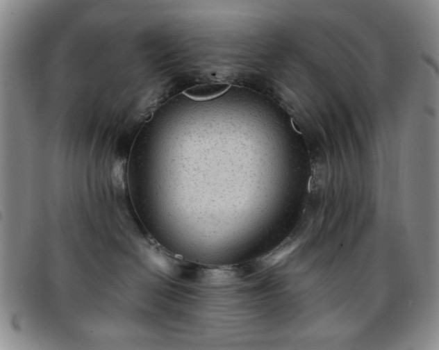 X0000097760286200803141729