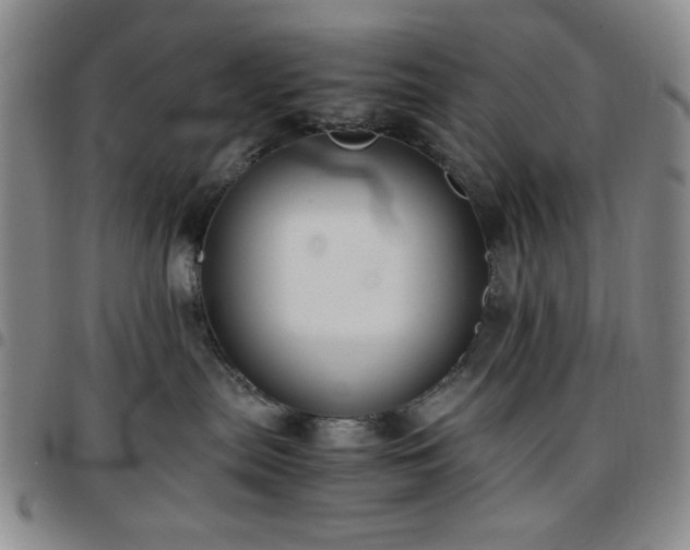 X0000097760287200803141729