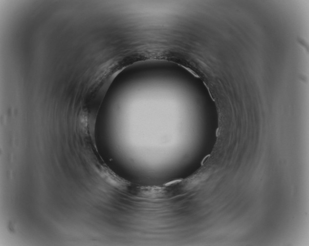 X0000097760288200803141730