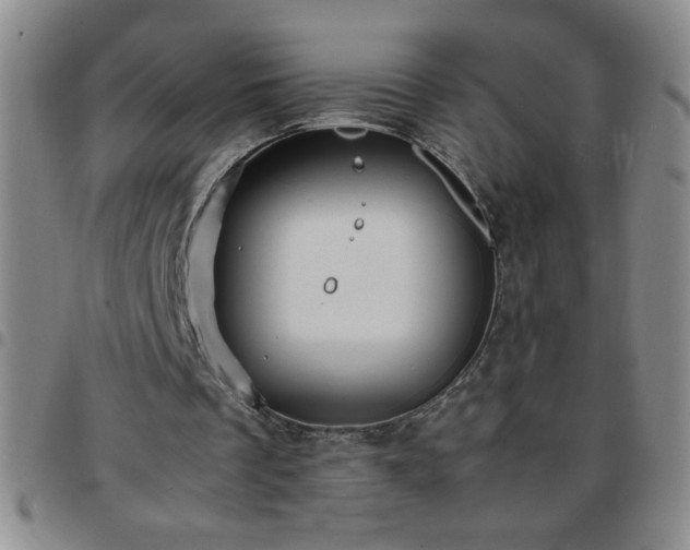 X0000097760289200803141729