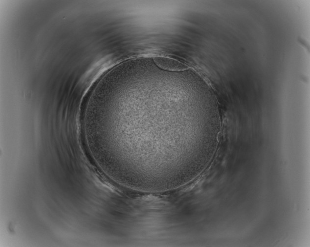 X0000097760290200803141729