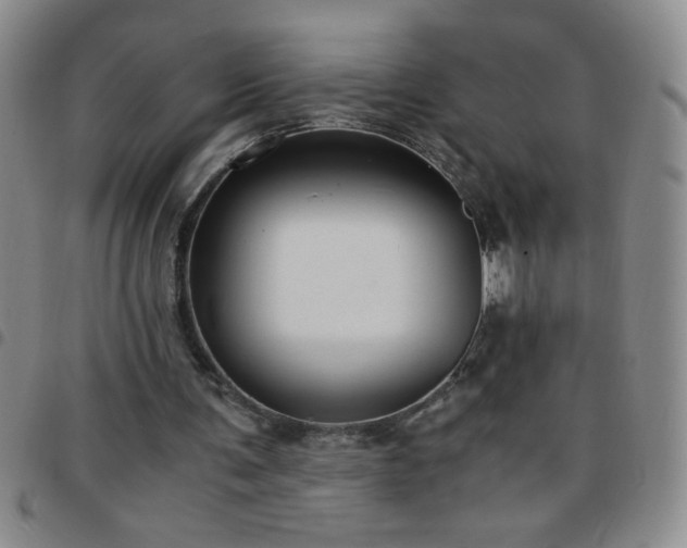 X0000097760291200803141729