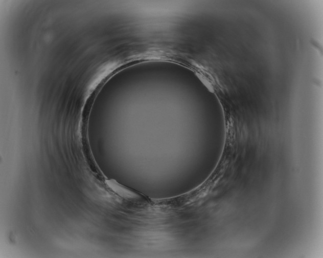 X0000097760292200803141729