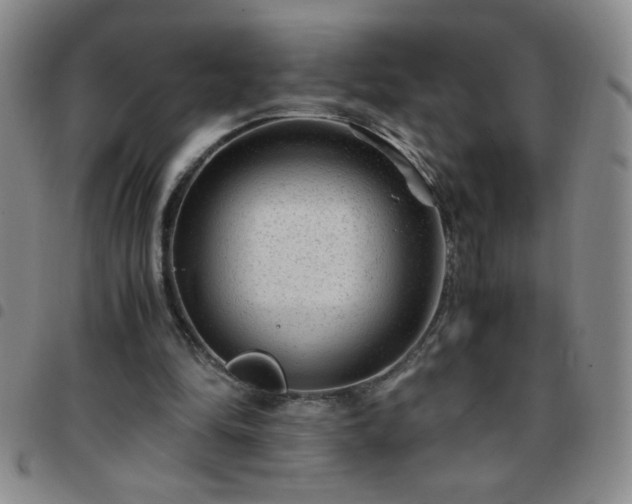 X0000097760294200803141729