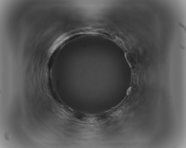 X0000097760295200803141729