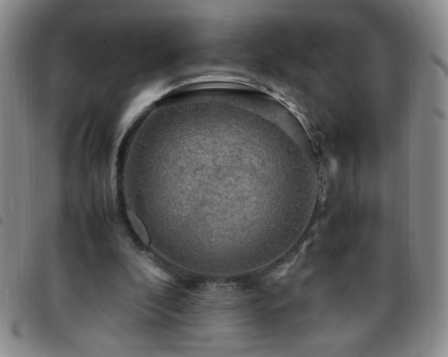 X0000097760296200803141729