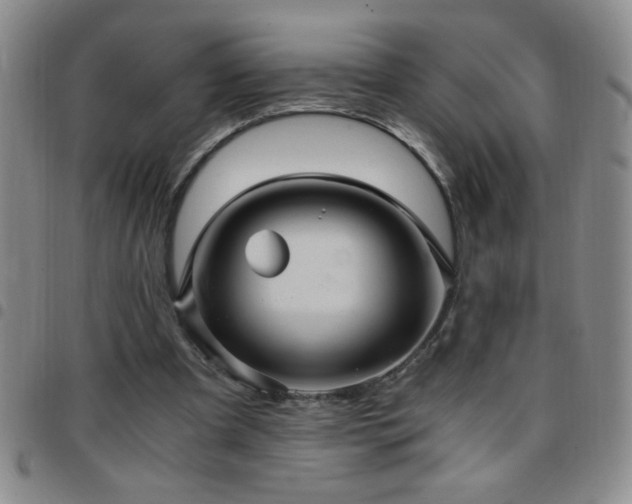 X0000097760297200803141729