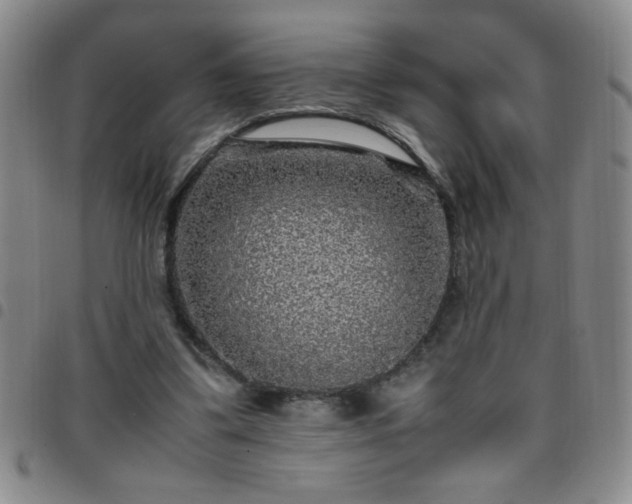 X0000097760299200803141729