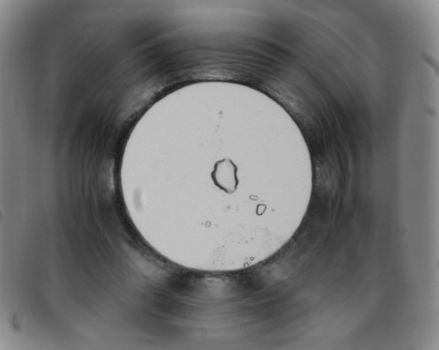 X0000097760302200803141729