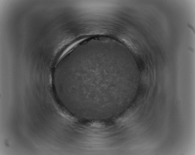 X0000097760303200803141729