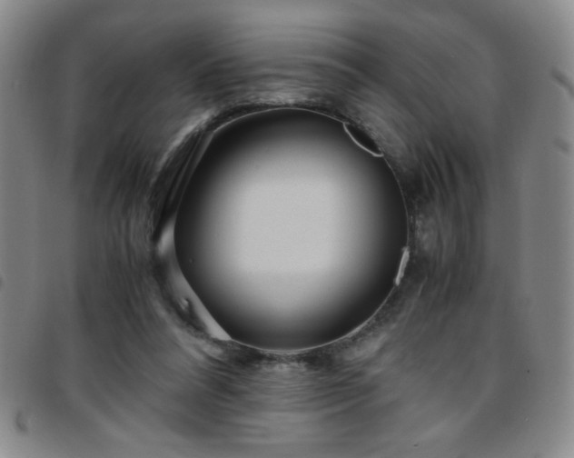 X0000097760304200803141729