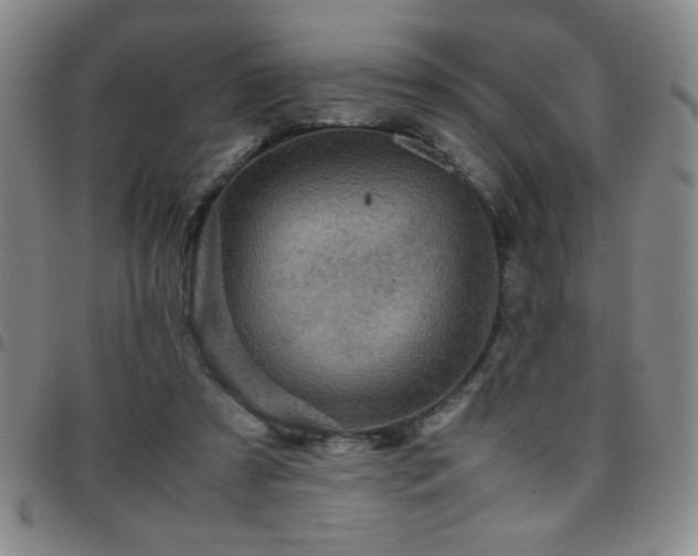 X0000097760305200803141729