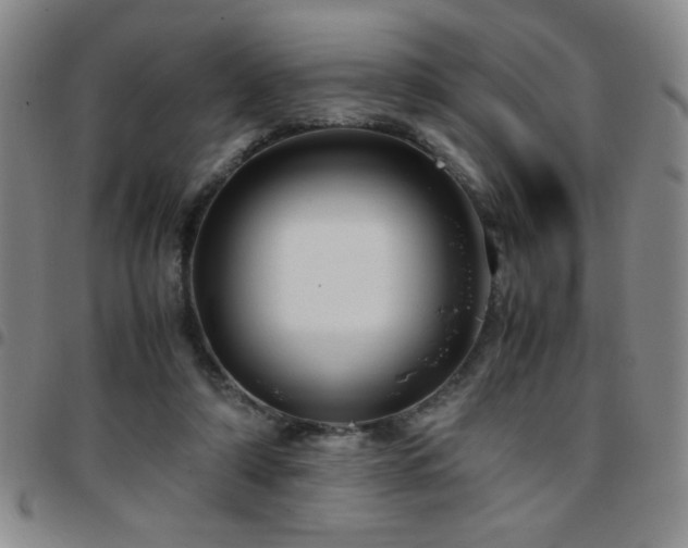 X0000097760306200803141729