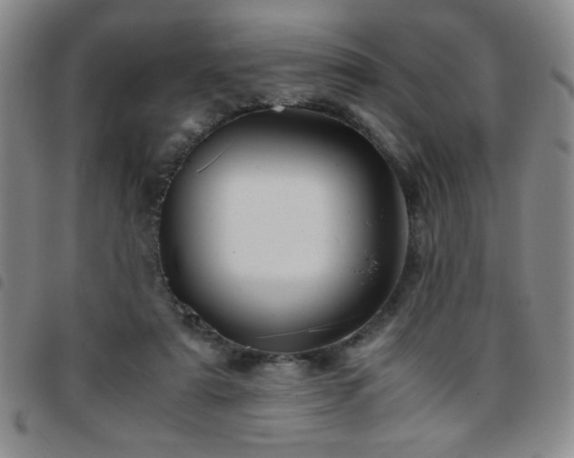 X0000097760307200803141729