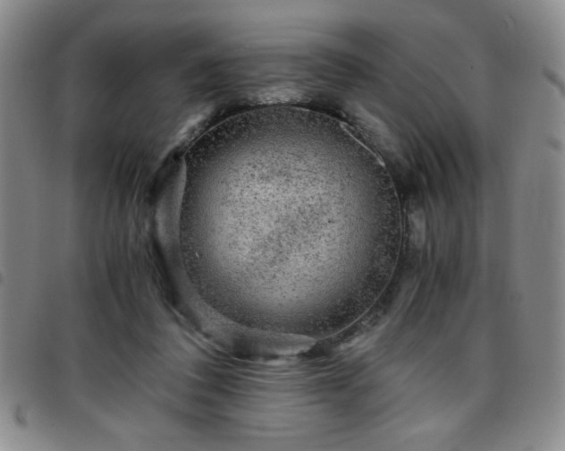 X0000097760308200803141729