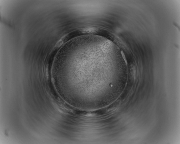 X0000097760312200803141729