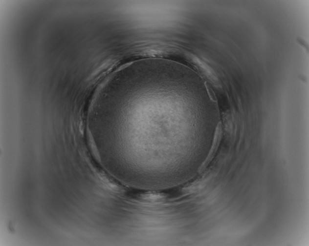 X0000097760313200803141729