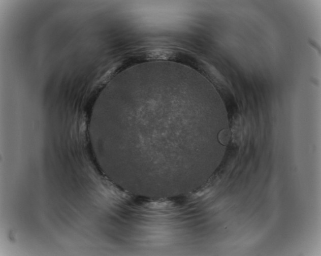 X0000097760314200803141729