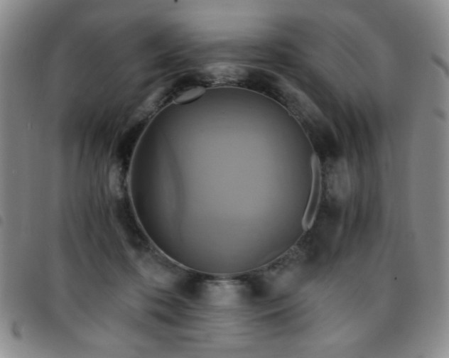 X0000097760316200803141728