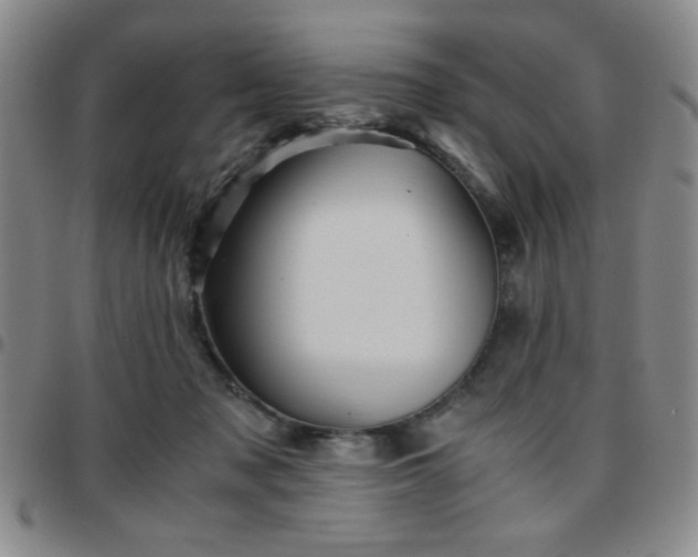 X0000097760317200803141728