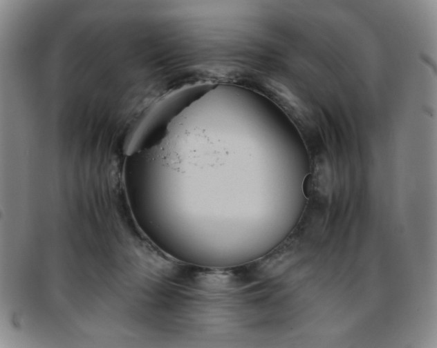 X0000097760318200803141728