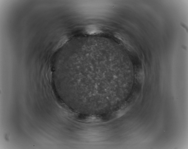 X0000097760319200803141728