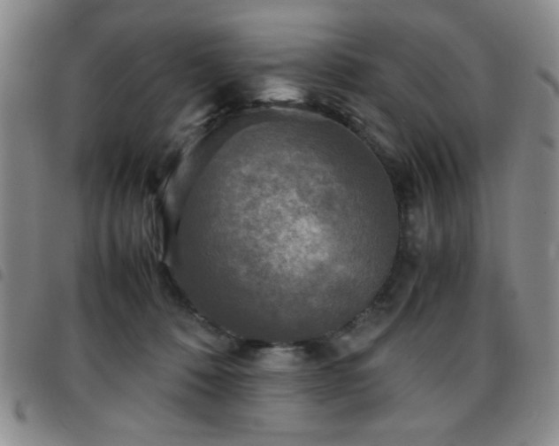 X0000097760320200803141728