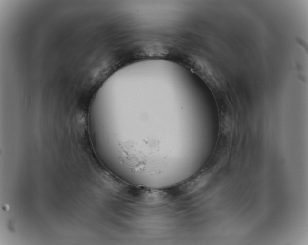 X0000097760321200803141728