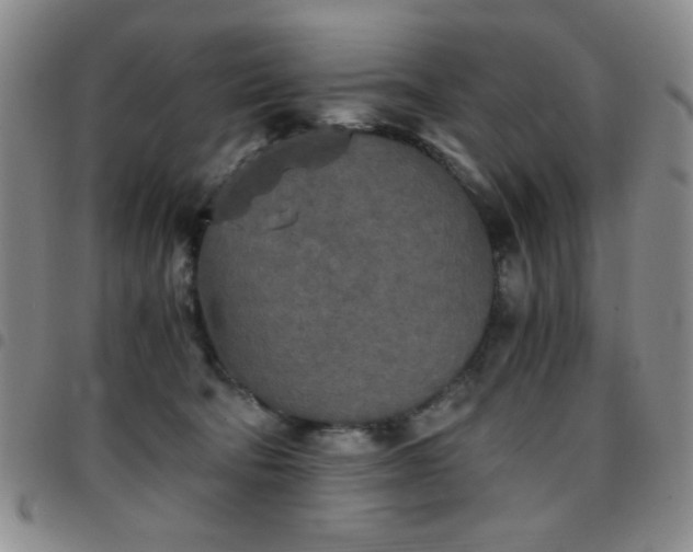 X0000097760322200803141728