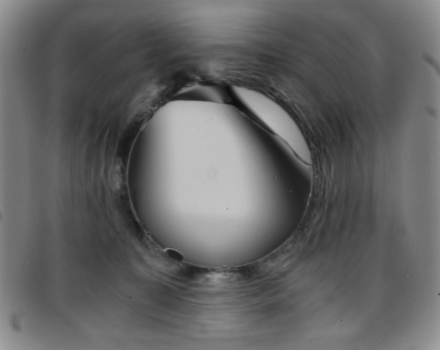 X0000097760323200803141728