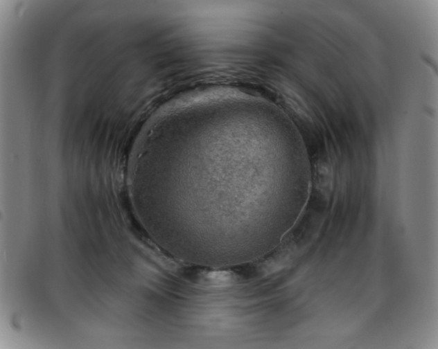 X0000097760324200803141728