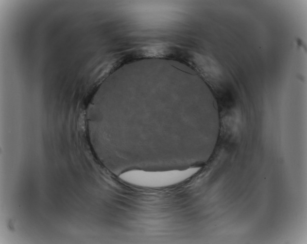 X0000097760325200803141728