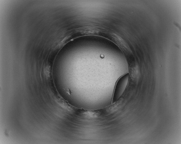 X0000097760326200803141728