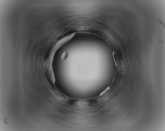 X0000097760327200803141728