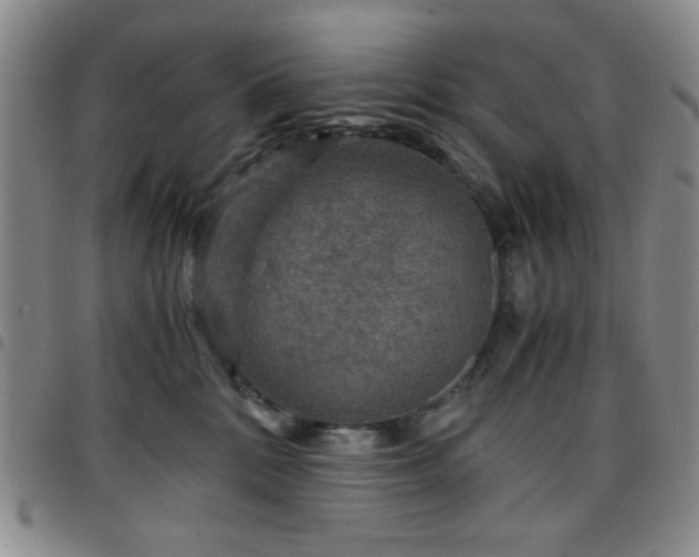 X0000097760328200803141728