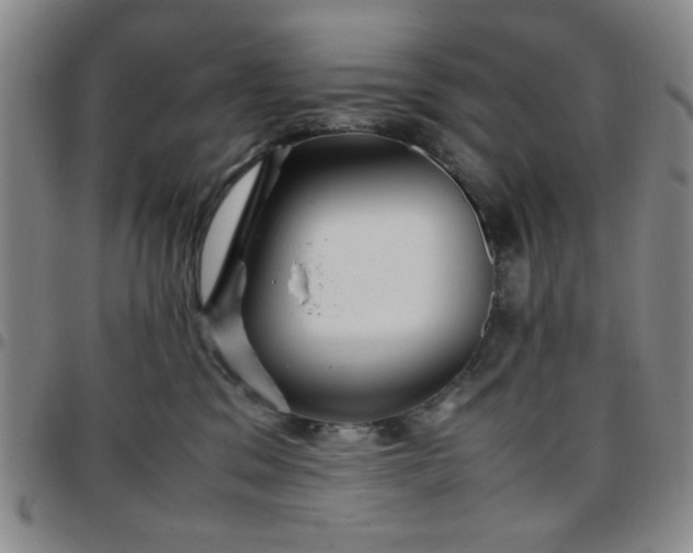 X0000097760329200803141728