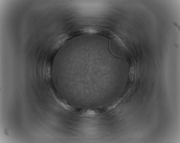 X0000097760330200803141728