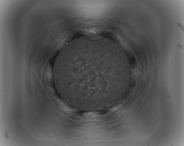 X0000097760331200803141728