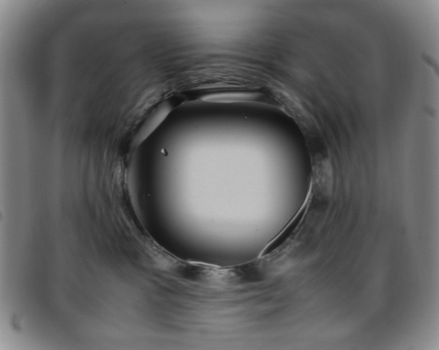 X0000097760333200803141728