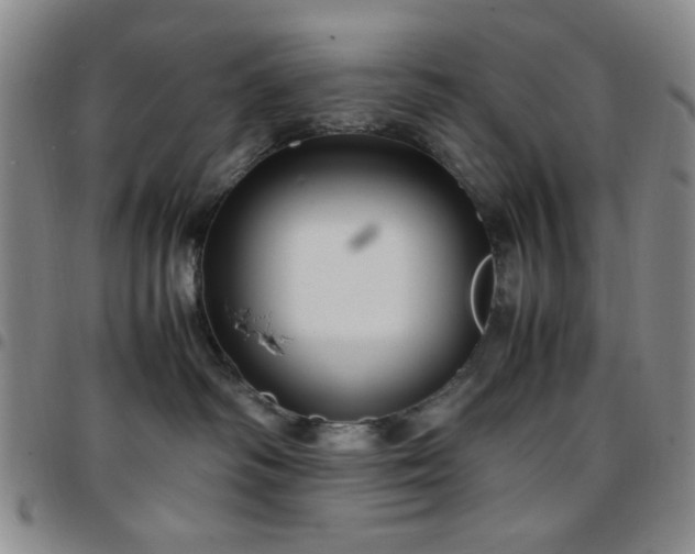 X0000097760334200803141728