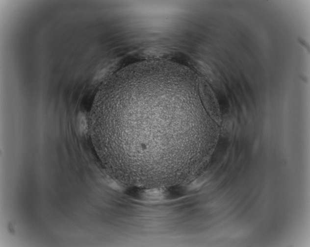 X0000097760335200803141728