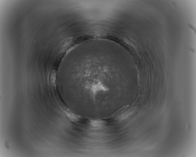 X0000097760336200803141728