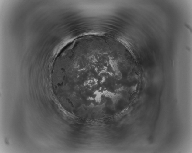 X0000097760337200803141728