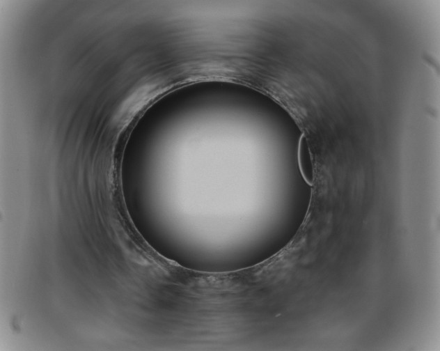 X0000097760338200803141728