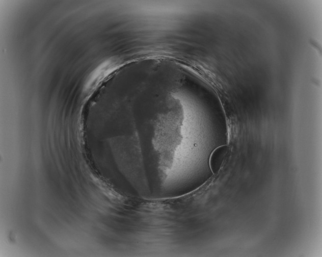 X0000097760339200803141728